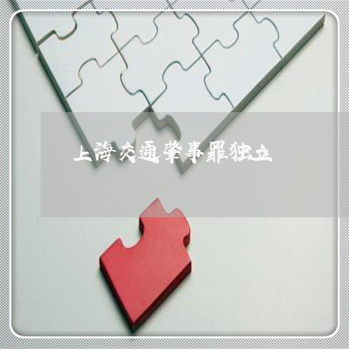 上海交通肇事罪独立/2023032850583