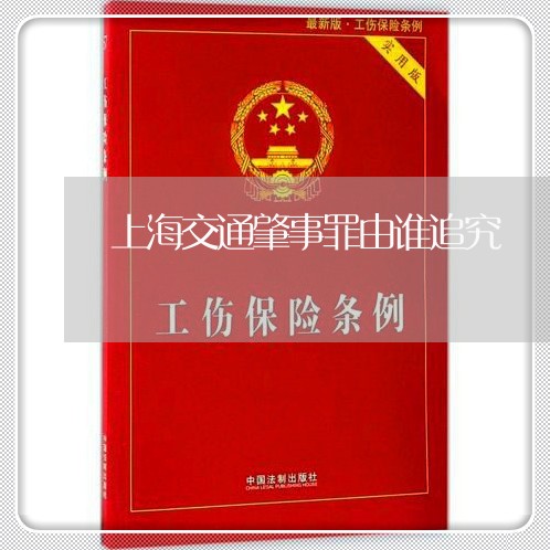 上海交通肇事罪由谁追究/2023022786048 上海交通肇事罪由谁追究/2023022786048