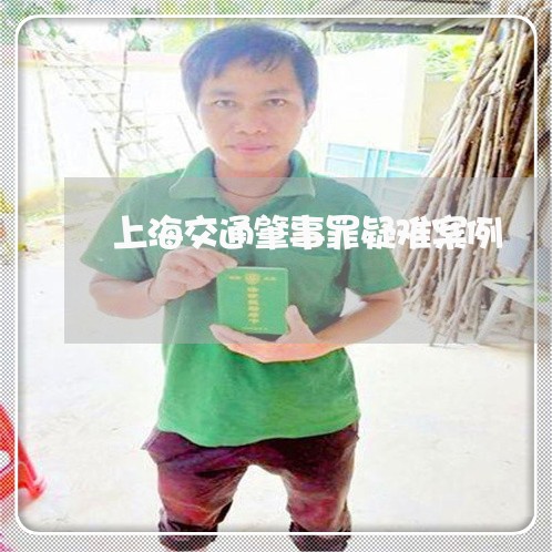 上海交通肇事罪疑难案例/2023022752694 上海交通肇事罪疑难案例/2023022752694