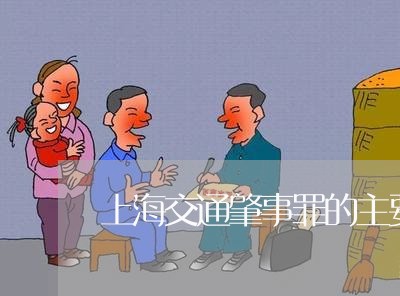 上海交通肇事罪的主要情节/2023031782695