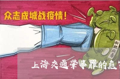 上海交通肇事罪的危害结果/2023031784726 上海交通肇事罪的危害结果/2023031784726