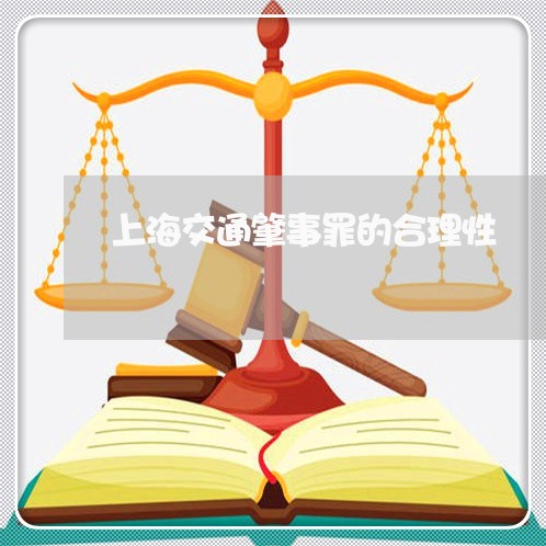 上海交通肇事罪的合理性/2023022718126