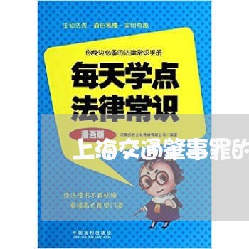 上海交通肇事罪的犯罪类别/2023033085250