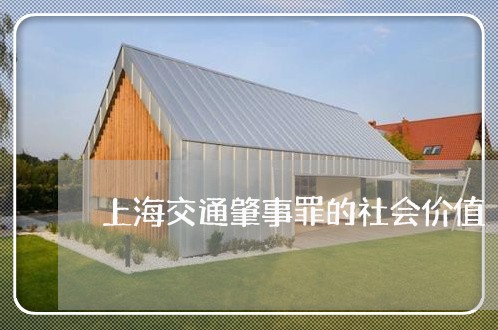 上海交通肇事罪的社会价值/2023033007140