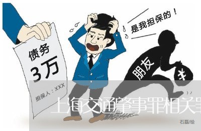 上海交通肇事罪相关罪行/2023022721937