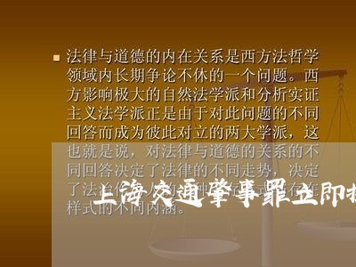 上海交通肇事罪立即执行/2023022750503