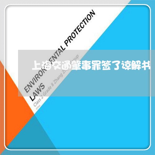 上海交通肇事罪签了谅解书/2023033127068