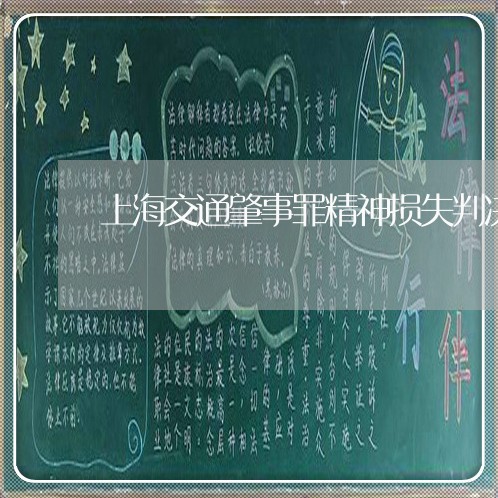 上海交通肇事罪精神损失判决/2023033038260