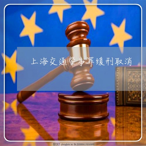 上海交通肇事罪缓刑取消/2023042161462