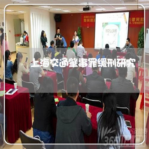 上海交通肇事罪缓刑研究/2023022883938
