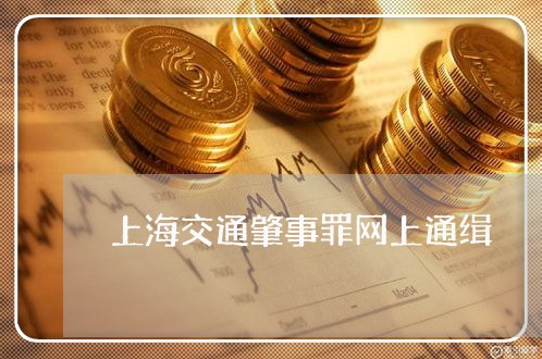 上海交通肇事罪网上通缉/2023022818159