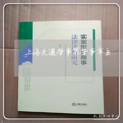 上海交通肇事罪肇事车主/2023042171794