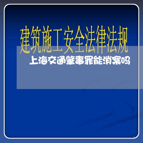 上海交通肇事罪能消案吗/2023042126147