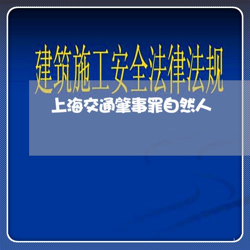 上海交通肇事罪自然人/2023021246252 上海交通肇事罪自然人/2023021246252