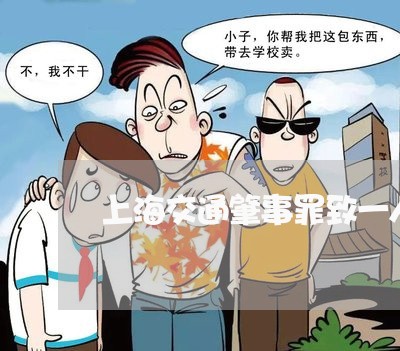 上海交通肇事罪致一人死亡/2023031761704 上海交通肇事罪致一人死亡/2023031761704