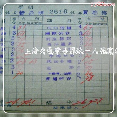 上海交通肇事罪致一人死案例/2023033017260