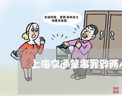 上海交通肇事罪致两人死亡/2023031789505 上海交通肇事罪致两人死亡/2023031789505