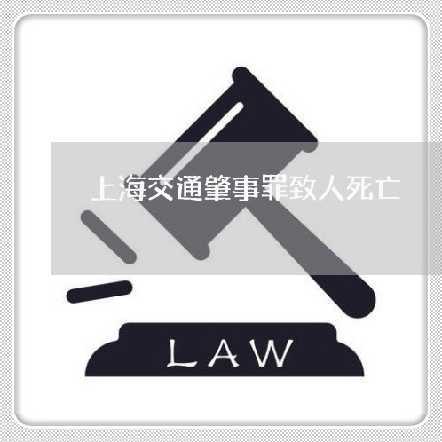 上海交通肇事罪致人死亡/2023022884716