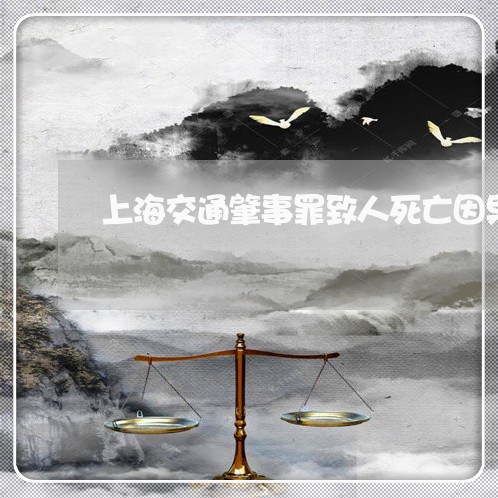上海交通肇事罪致人死亡因果/2023033053739 上海交通肇事罪致人死亡因果/2023033053739