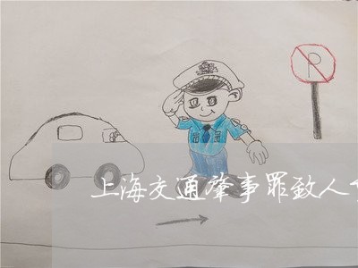 上海交通肇事罪致人重伤判刑/2023033038360 上海交通肇事罪致人重伤判刑/2023033038360