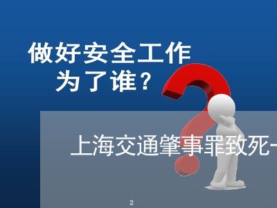 上海交通肇事罪致死一人/2023042140472