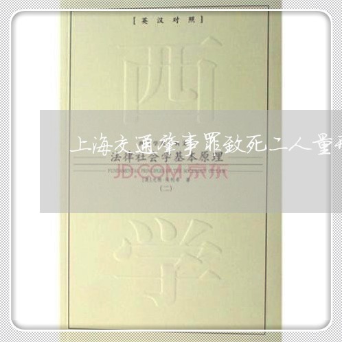 上海交通肇事罪致死二人量刑/2023033048572 上海交通肇事罪致死二人量刑/2023033048572