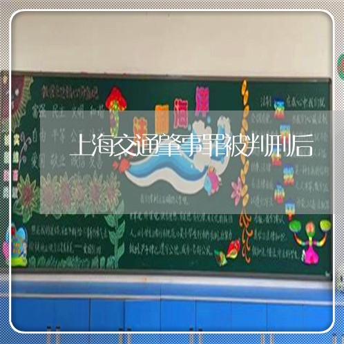上海交通肇事罪被判刑后/2023022807250