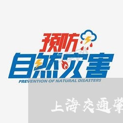 上海交通肇事罪被判刑的/2023042123593