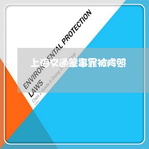 上海交通肇事罪被降照/2023021204049 上海交通肇事罪被降照/2023021204049