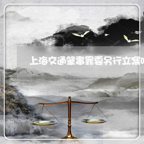 上海交通肇事罪要另行立案吗/2023033034039