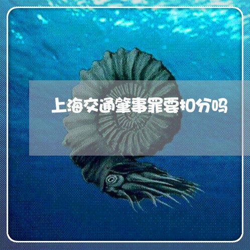 上海交通肇事罪要扣分吗/2023022858140 上海交通肇事罪要扣分吗/2023022858140