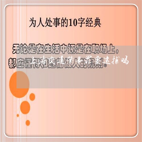 上海交通肇事罪要逮捕吗/2023042117826