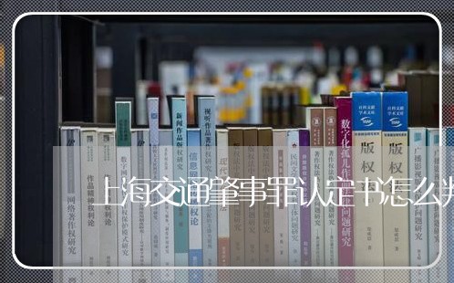 上海交通肇事罪认定书怎么判/2023033080373