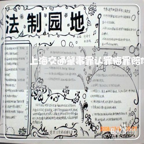 上海交通肇事罪认罪悔罪赔偿/2023033086260
