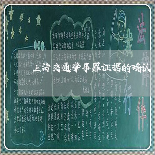 上海交通肇事罪证据的确认/2023031725147 上海交通肇事罪证据的确认/2023031725147