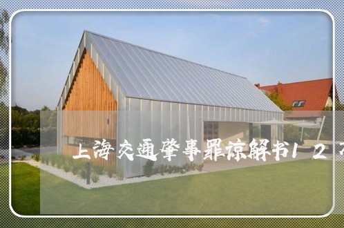 上海交通肇事罪谅解书12万/2023033017059 上海交通肇事罪谅解书12万/2023033017059