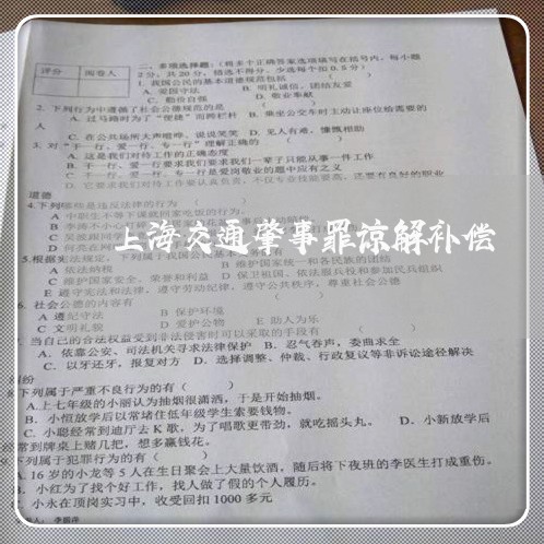 上海交通肇事罪谅解补偿/2023022830392 上海交通肇事罪谅解补偿/2023022830392