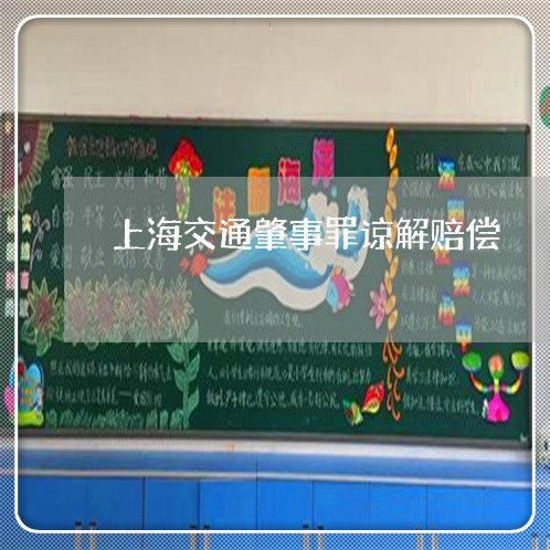 上海交通肇事罪谅解赔偿/2023022874838 上海交通肇事罪谅解赔偿/2023022874838