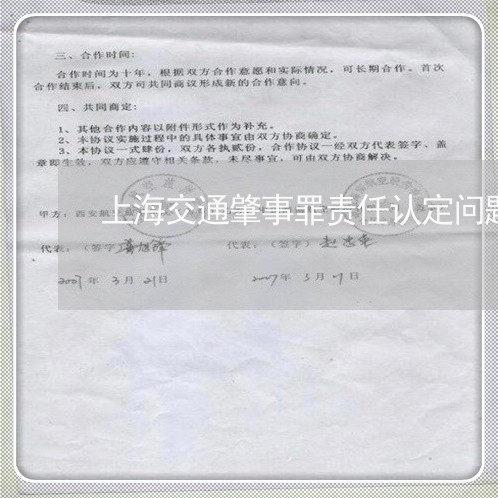 上海交通肇事罪责任认定问题/2023033052493 上海交通肇事罪责任认定问题/2023033052493