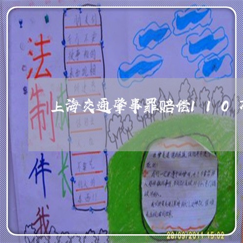 上海交通肇事罪赔偿110万/2023033030373