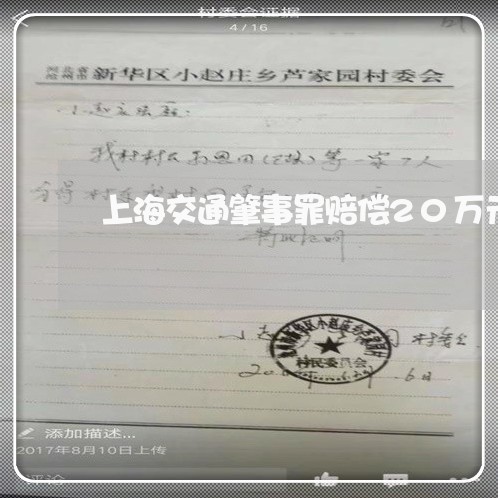 上海交通肇事罪赔偿20万元/2023033074795 上海交通肇事罪赔偿20万元/2023033074795
