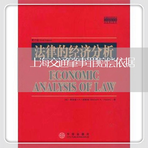 上海交通肇事罪赔偿依据/2023022873504