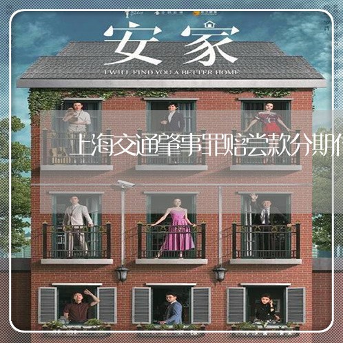 上海交通肇事罪赔尝款分期付/2023033050593