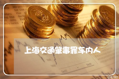 上海交通肇事罪车内人/2023021108471 上海交通肇事罪车内人/2023021108471
