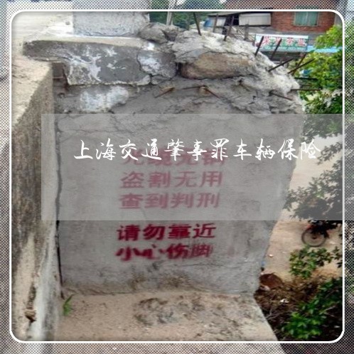 上海交通肇事罪车辆保险/2023022841494