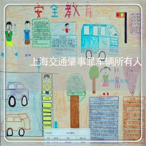 上海交通肇事罪车辆所有人/2023033060473 上海交通肇事罪车辆所有人/2023033060473
