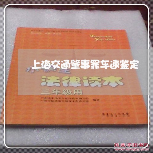 上海交通肇事罪车速鉴定/2023042171626