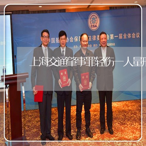 上海交通肇事罪轻伤一人量刑/2023033040282 上海交通肇事罪轻伤一人量刑/2023033040282