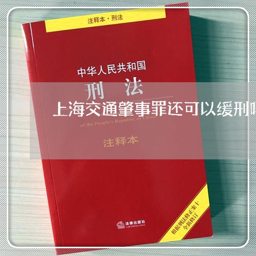 上海交通肇事罪还可以缓刑吗/2023033028582 上海交通肇事罪还可以缓刑吗/2023033028582