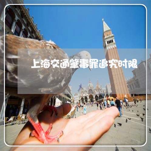 上海交通肇事罪追究时限/2023022860794